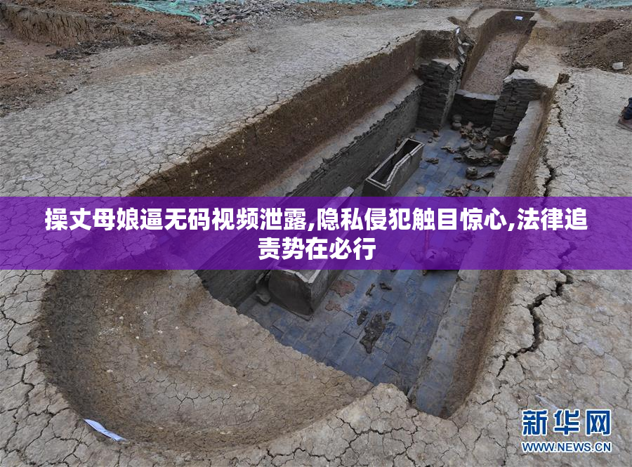 操丈母娘逼无码视频泄露,隐私侵犯触目惊心,法律追责势在必行