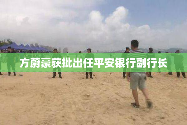 方蔚豪获批出任平安银行副行长