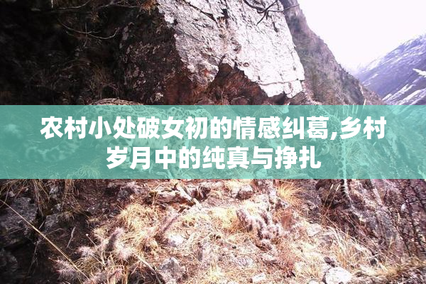 农村小处破女初的情感纠葛,乡村岁月中的纯真与挣扎