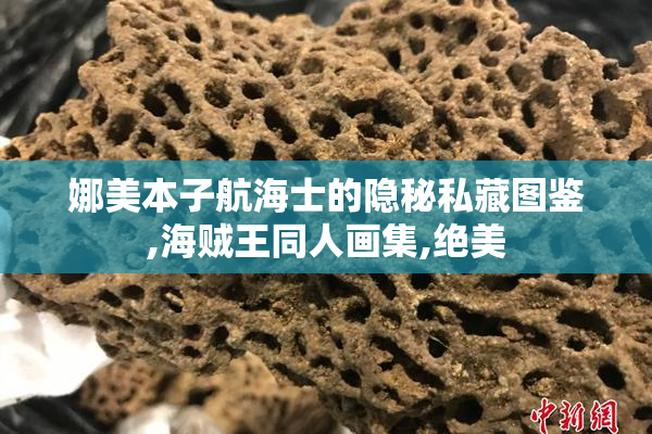 娜美本子航海士的隐秘私藏图鉴,海贼王同人画集,绝美