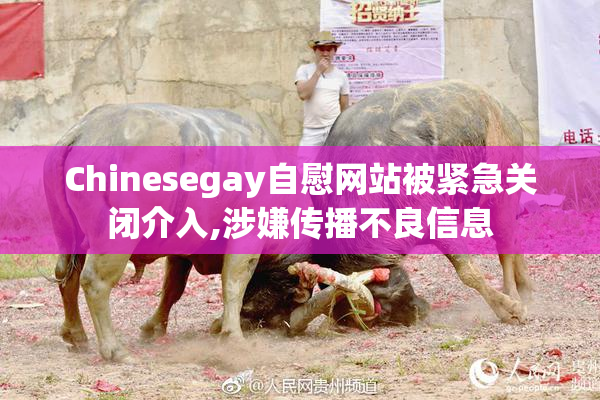 Chinesegay自慰网站被紧急关闭介入,涉嫌传播不良信息