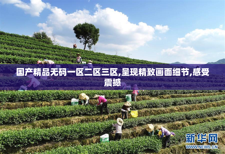 国产精品无码一区二区三区,呈现精致画面细节,感受震撼