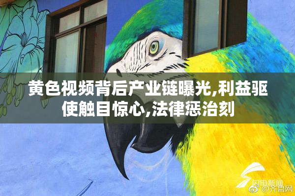 黄色视频背后产业链曝光,利益驱使触目惊心,法律惩治刻
