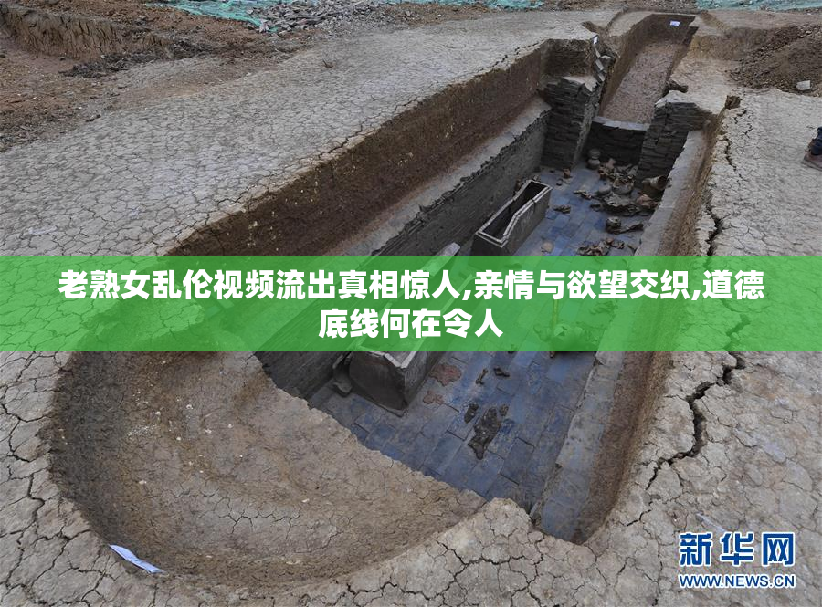 老熟女乱伦视频流出真相惊人,亲情与欲望交织,道德底线何在令人