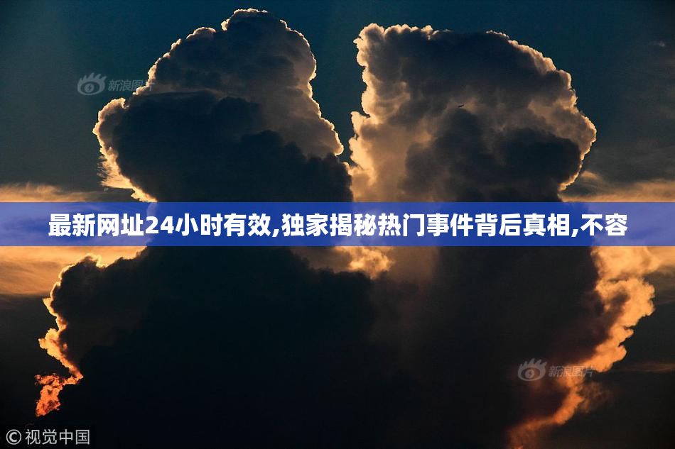 最新网址24小时有效,独家揭秘热门事件背后真相,不容