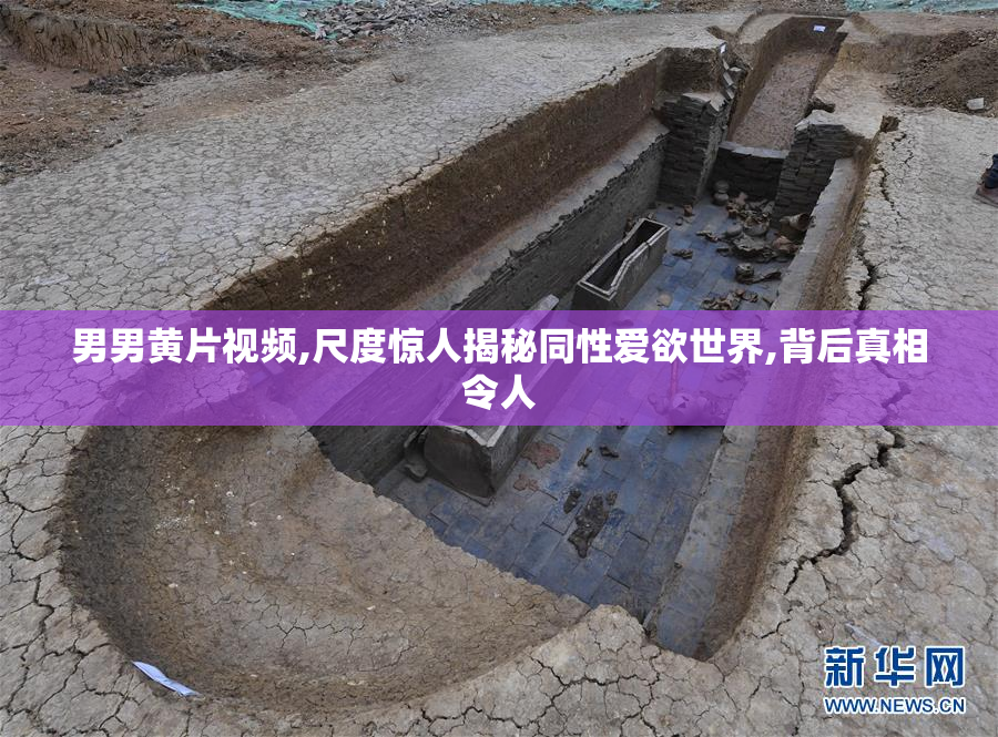 男男黄片视频,尺度惊人揭秘同性爱欲世界,背后真相令人