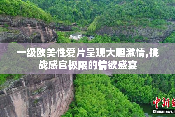 一级欧美性爱片呈现大胆激情,挑战感官极限的情欲盛宴