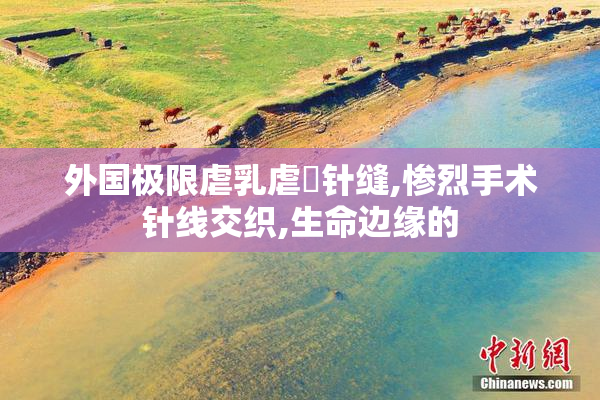 外国极限虐乳虐隂针缝,惨烈手术针线交织,生命边缘的