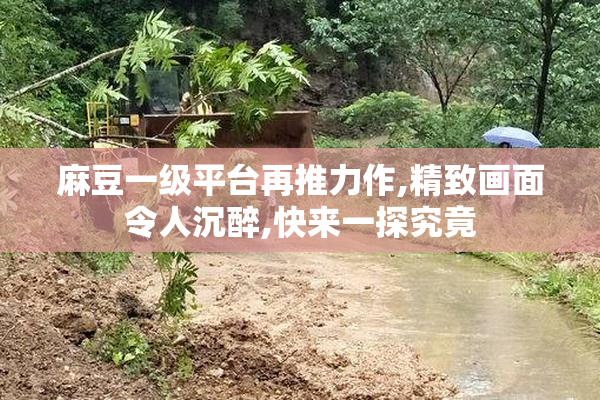 麻豆一级平台再推力作,精致画面令人沉醉,快来一探究竟