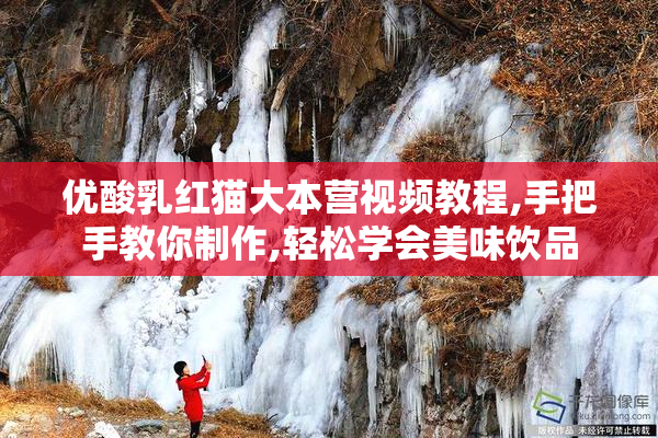 优酸乳红猫大本营视频教程,手把手教你制作,轻松学会美味饮品
