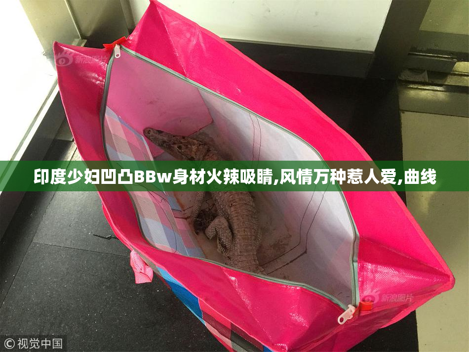 印度少妇凹凸BBw身材火辣吸睛,风情万种惹人爱,曲线