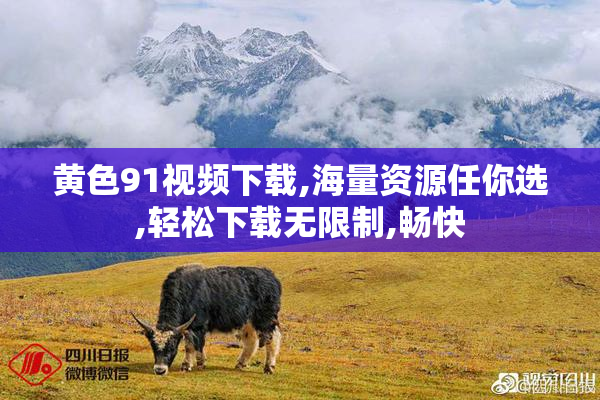黄色91视频下载,海量资源任你选,轻松下载无限制,畅快