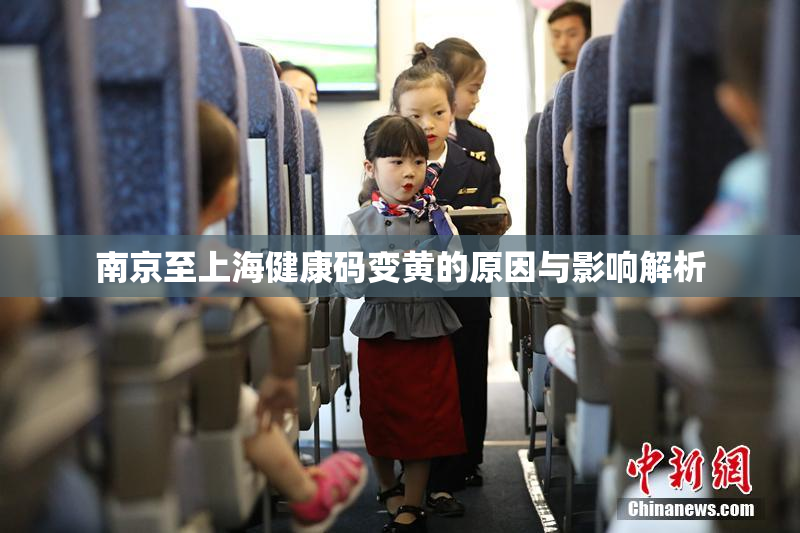 南京至上海健康码变黄的原因与影响解析