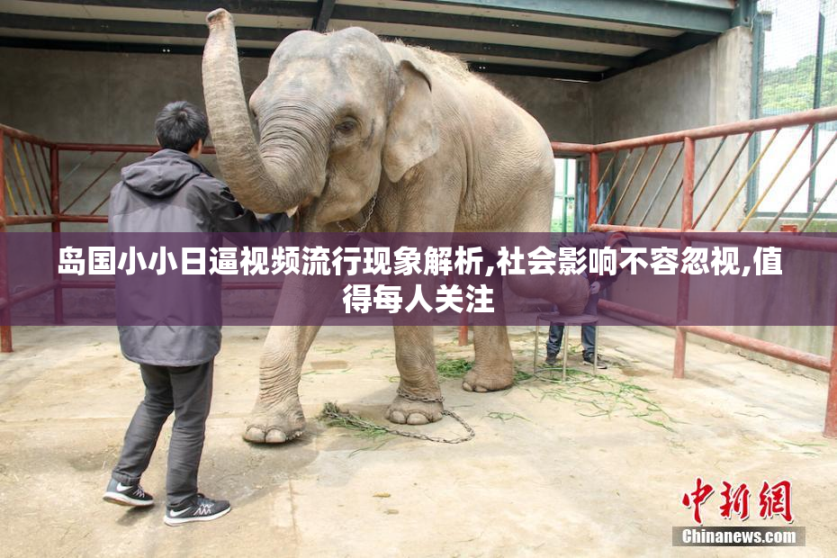 岛国小小日逼视频流行现象解析,社会影响不容忽视,值得每人关注