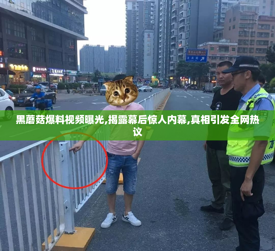 黑蘑菇爆料视频曝光,揭露幕后惊人内幕,真相引发全网热议