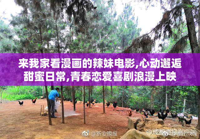 来我家看漫画的辣妹电影,心动邂逅甜蜜日常,青春恋爱喜剧浪漫上映