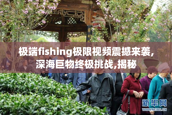 极端fishing极限视频震撼来袭,深海巨物终极挑战,揭秘