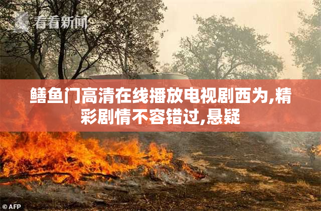 鳝鱼门****播放电视剧西为,精彩剧情不容错过,悬疑