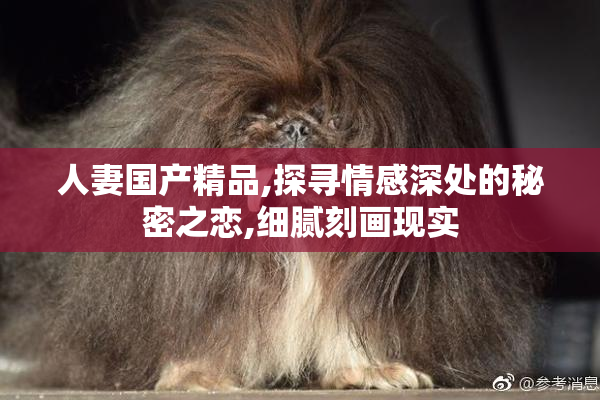 人妻国产精品,探寻情感深处的秘密之恋,细腻刻画现实