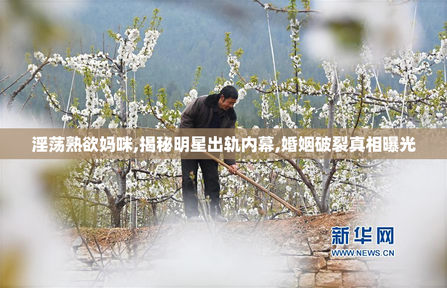 淫荡熟欲妈咪,揭秘明星出轨内幕,婚姻破裂真相曝光