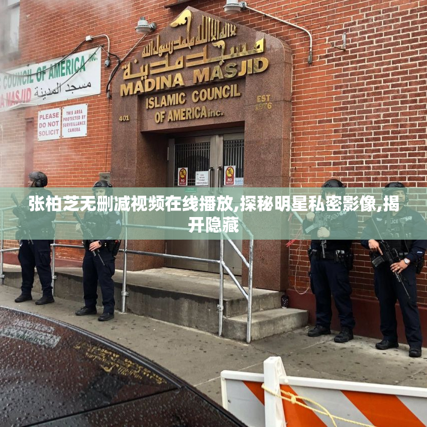 张柏芝无删减视频在线播放,探秘明星私密影像,揭开隐藏