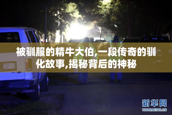 被驯服的精牛大伯,一段传奇的驯化故事,揭秘背后的神秘