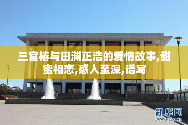 三宫椿与田渊正浩的爱情故事,甜蜜相恋,感人至深,谱写
