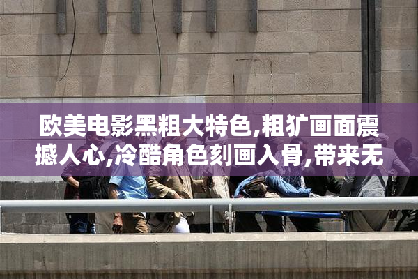 欧美电影黑粗大特色,粗犷画面震撼人心,冷酷角色刻画入骨,带来无与