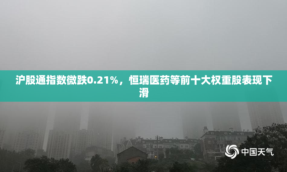 沪股通指数微跌0.21%，恒瑞医药等前十大权重股表现下滑