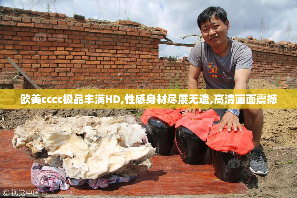欧美cccc极品丰满HD,性感身材尽展无遗,高清画面震撼