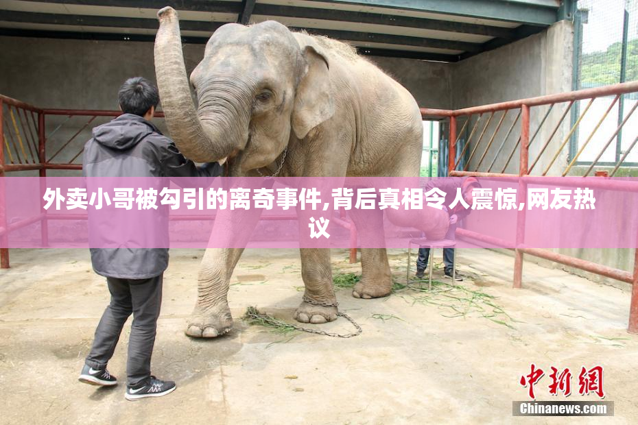 外卖小哥被勾引的离奇事件,背后真相令人震惊,网友热议