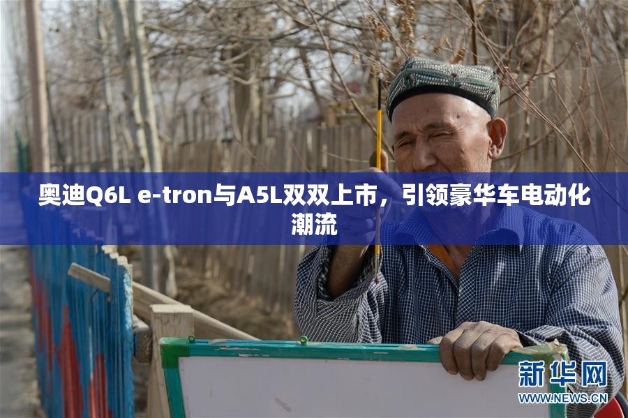 奥迪Q6L e-tron与A5L双双上市，引领豪华车电动化潮流