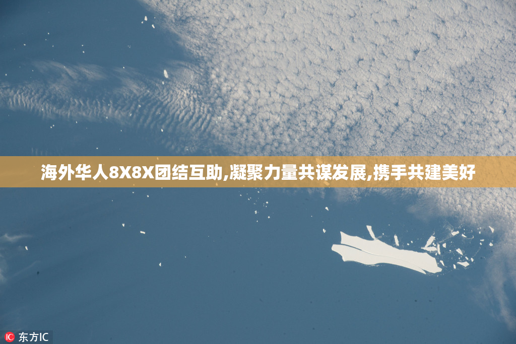 海外华人8X8X团结互助,凝聚力量共谋发展,携手共建美好