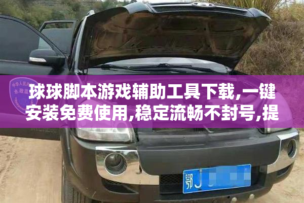 球球脚本游戏辅助工具下载,一键安装****,稳定流畅不封号,提升