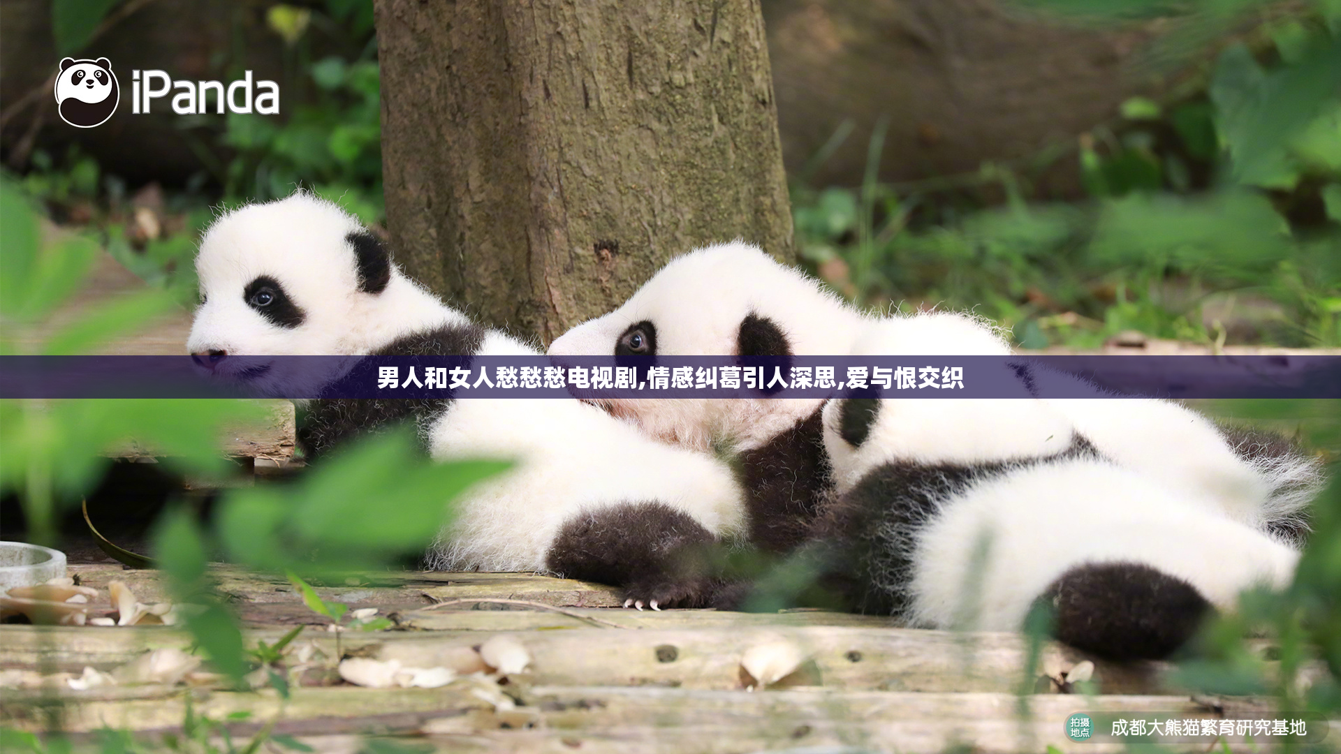 男人和女人愁愁愁电视剧,情感纠葛引人深思,爱与恨交织