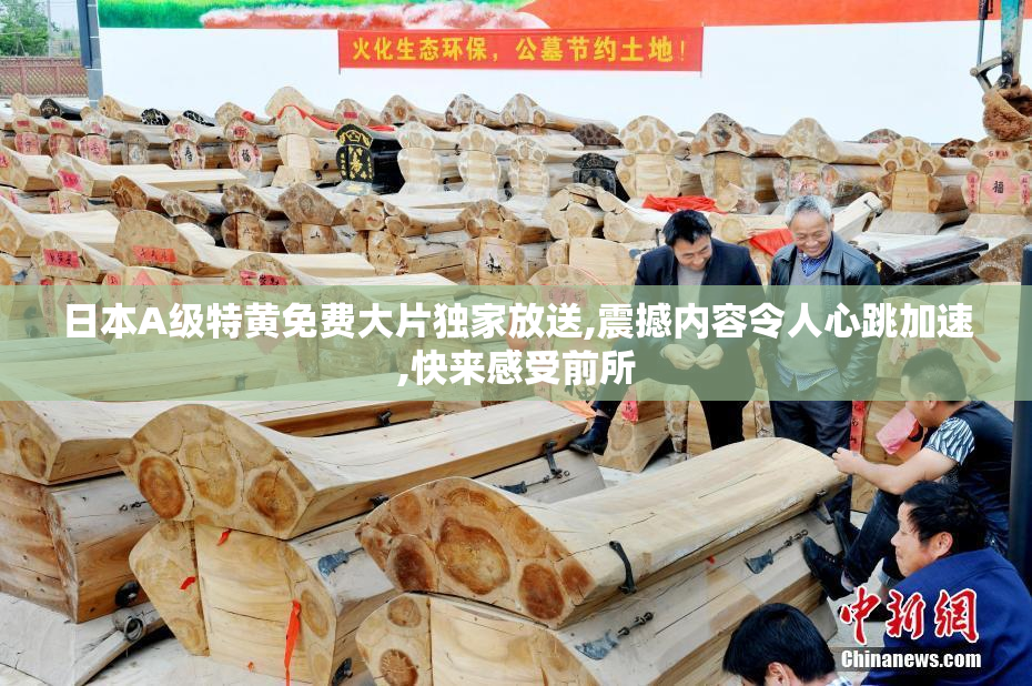 日本A级特黄免费大片独家放送,震撼内容令人心跳加速,快来感受前所