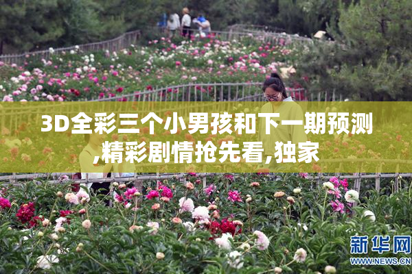 3D全彩三个小男孩和下一期预测,精彩剧情抢先看,独家