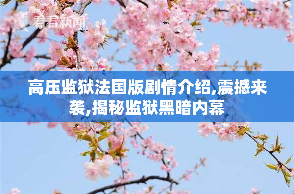 高压监狱法国版剧情介绍,震撼来袭,揭秘监狱黑暗内幕