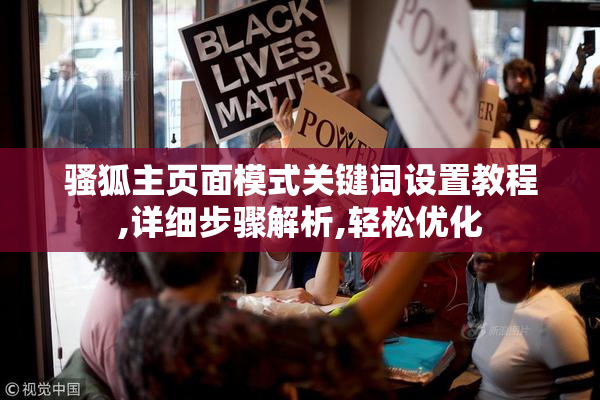 骚狐主页面模式关键词设置教程,详细步骤解析,轻松优化