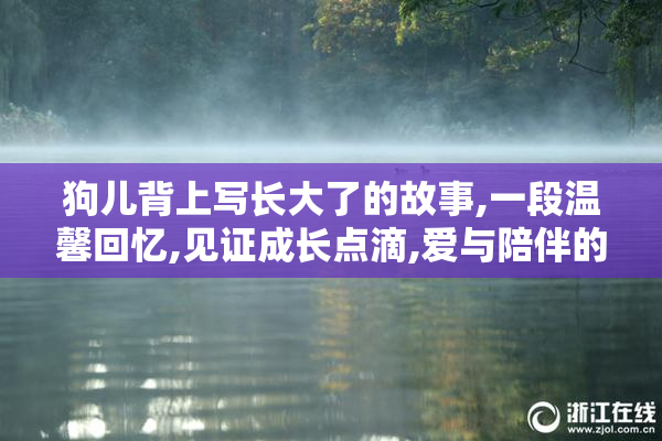 狗儿背上写长大了的故事,一段温馨回忆,见证成长点滴,爱与陪伴的