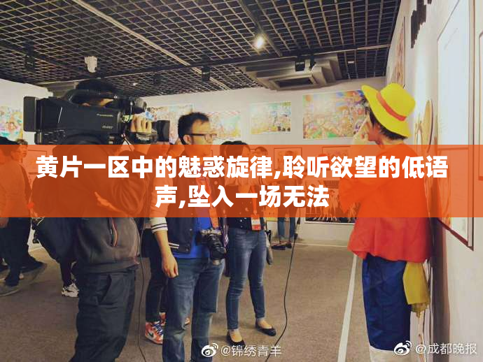 黄片一区中的魅惑旋律,聆听欲望的低语声,坠入一场无法