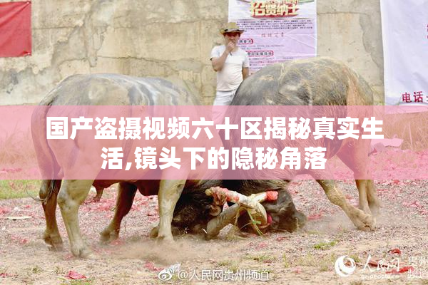 国产盗摄视频六十区揭秘真实生活,镜头下的隐秘角落