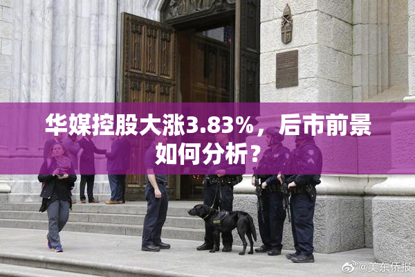 华媒控股大涨3.83%，后市前景如何分析？
