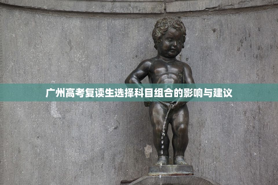 广州高考复读生选择科目组合的影响与建议