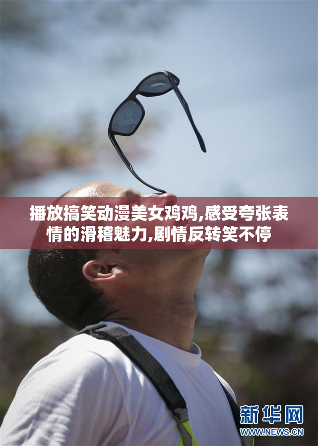 播放搞笑动漫美女鸡鸡,感受夸张表情的滑稽魅力,剧情反转笑不停