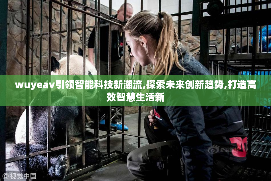 wuyeav引领智能科技新潮流,探索未来创新趋势,打造高效智慧生活新