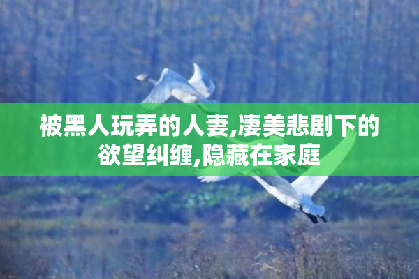 被黑人玩弄的人妻,凄美悲剧下的欲望纠缠,隐藏在家庭