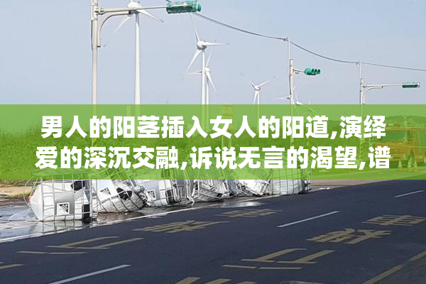 男人的阳茎插入女人的阳道,演绎爱的深沉交融,诉说无言的渴望,谱写
