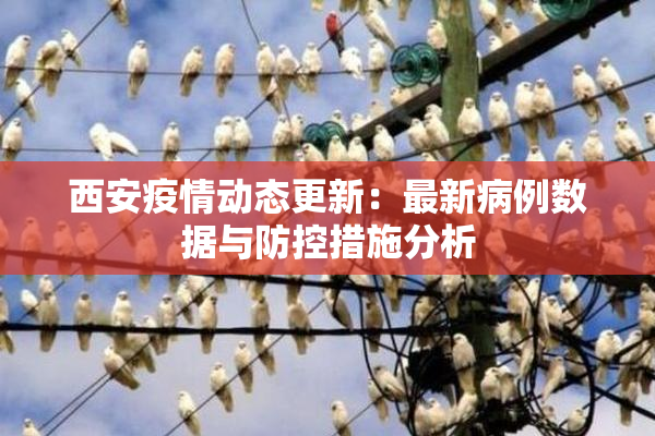 西安疫情动态更新：最新病例数据与防控措施分析