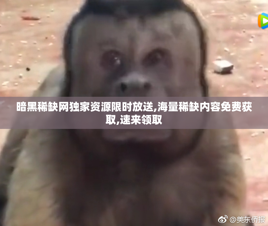 暗黑稀缺网独家资源限时放送,海量稀缺内容免费获取,速来领取